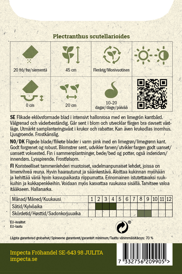 Värinokkonen 'Colocha Rose'