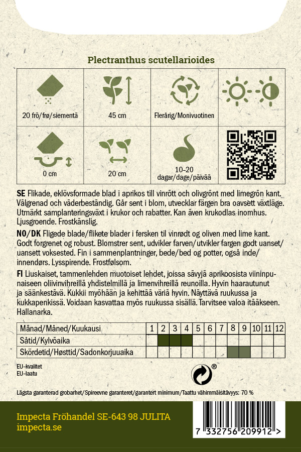 Värinokkonen 'Colocha Scarlet'