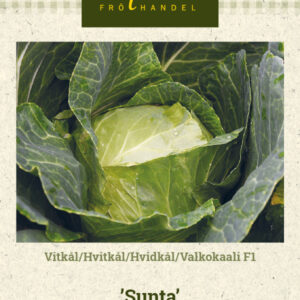 Valkokaali F1 'Sunta'