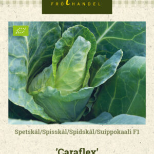 Suippokaali F1 'Caraflex'