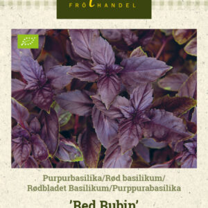 Purppurabasilika 'Red Rubin'