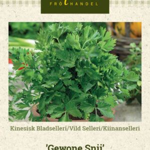 Kiinanselleri 'Gewone Snij'