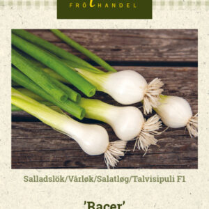 Pillisipuli F1 'Racer'