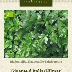 Lehtipersilja 'Gigante d'Italia'