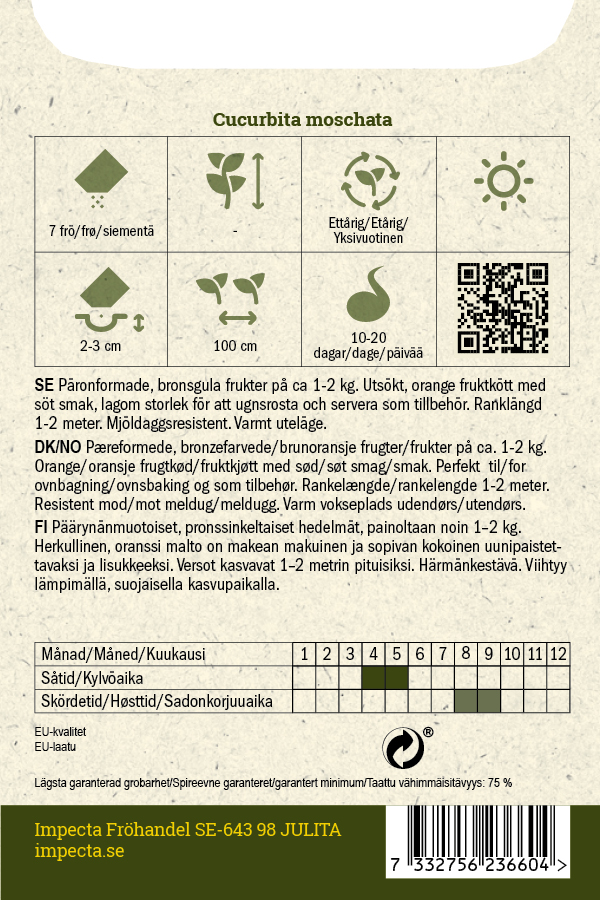 Myskikurpitsa F1 'Butterbaby'