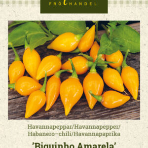 Havannapaprika 'Biquinho Amarela'