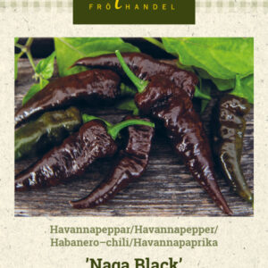 Havannapaprika 'Naga Black'