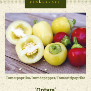 Tomaattipaprika 'Ontara'