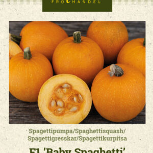 Spagettikurpitsa F1 'Baby Spaghetti'