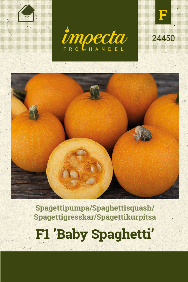 Spagettikurpitsa F1 'Baby Spaghetti'