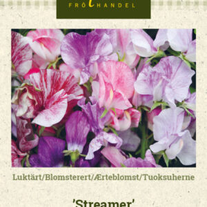 Tuoksuherne 'Streamer'