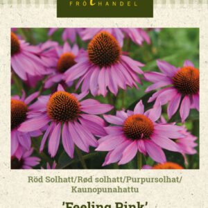 Kaunopunahattu 'Feeling Pink'