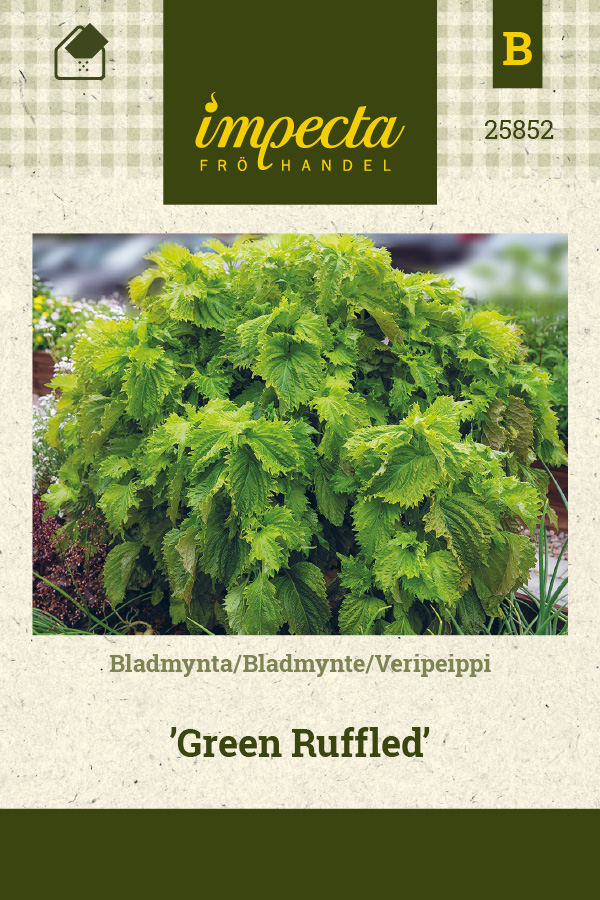 Veripeippi 'Green Ruffled'