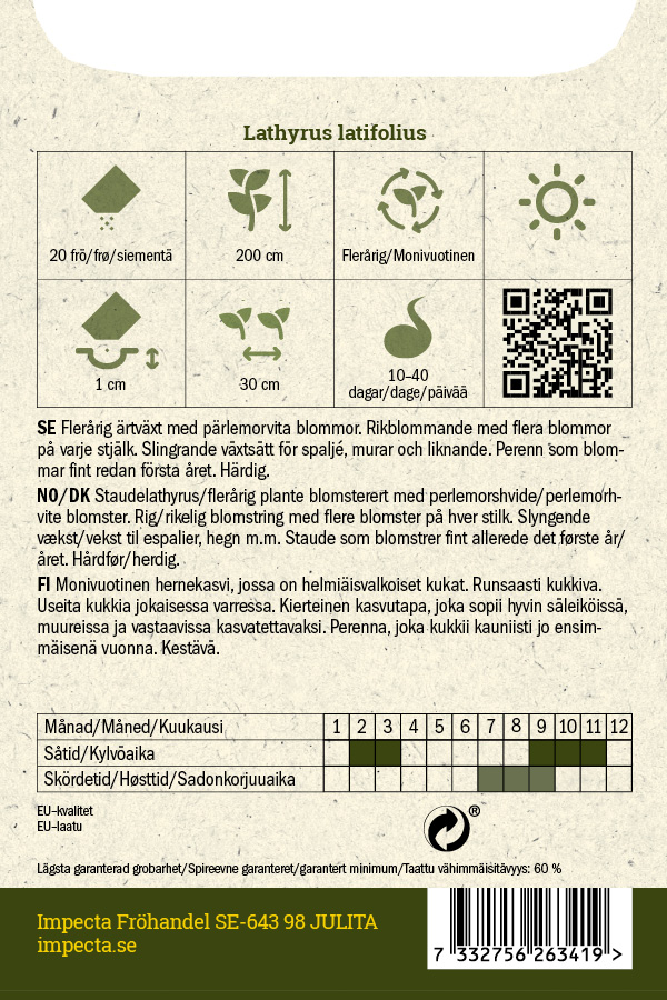 Ruusunätkelmä 'White Pearl'