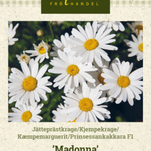 Prinsessankakkara F1 'Madonna'