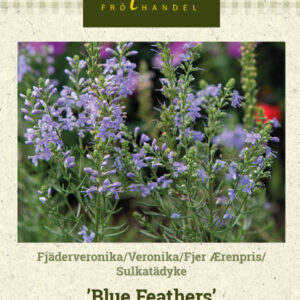 Sulkatädyke 'Blue Feathers'