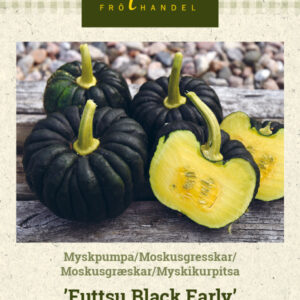 Myskikurpitsa 'Futtsu Black Early'