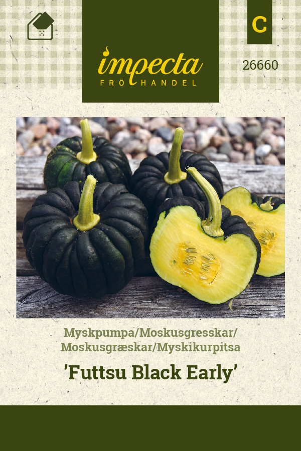 Myskikurpitsa 'Futtsu Black Early'