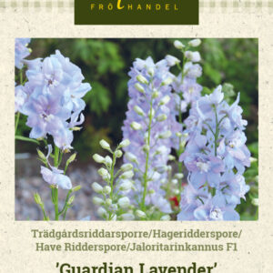 Jaloritarinkannus F1 'Guardian Lavender'