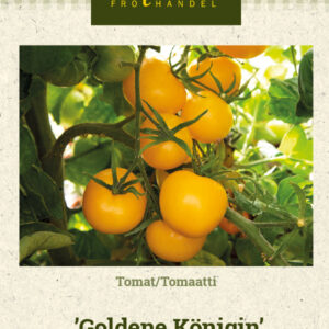 Tomaatti 'Goldene Königin'