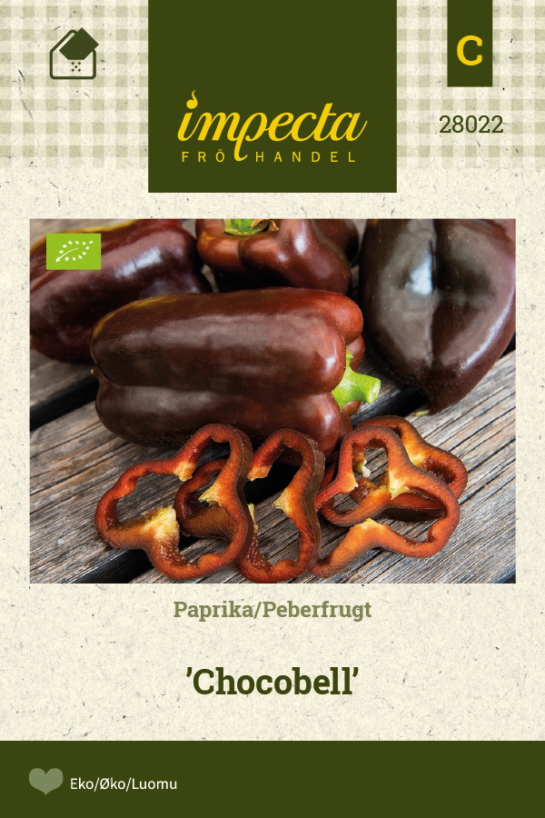 Paprika 'Chocobell'