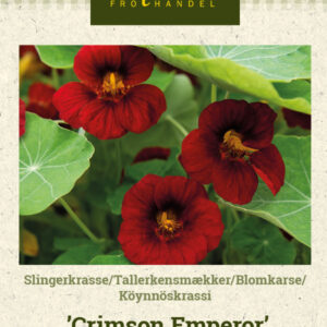 Köynnöskrassi 'Crimson Emperor'