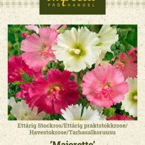 Tarhasalkoruusu 'Majorette'