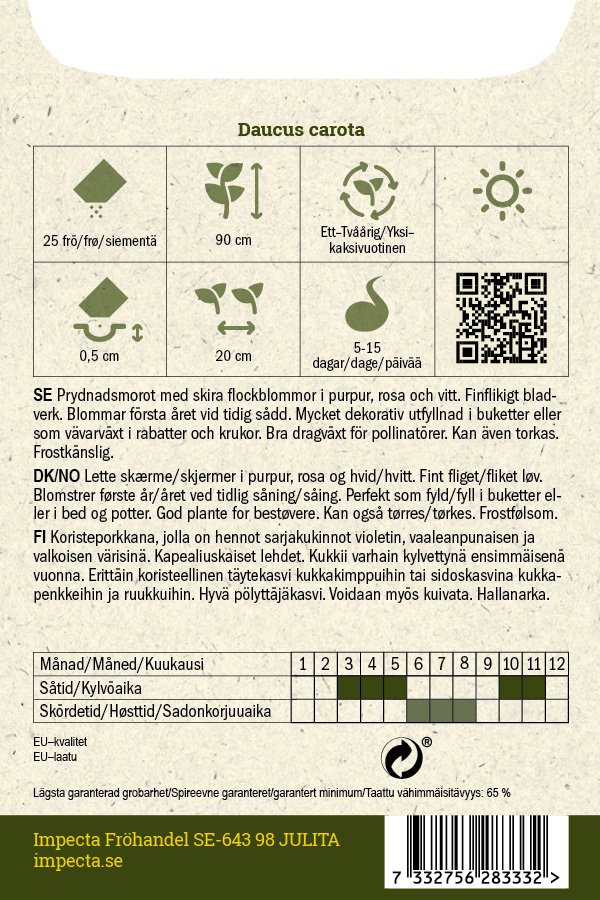 Koristeporkkana 'Dara'