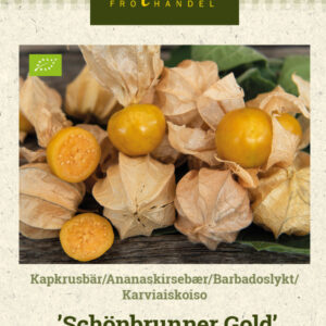 Karviaiskoiso 'Schönbrunner Gold'
