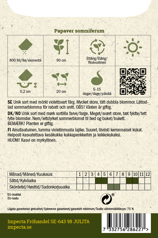 Pioniunikko 'Black Dragon'