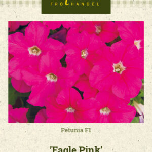 Petunia F1 'Eagle Pink'