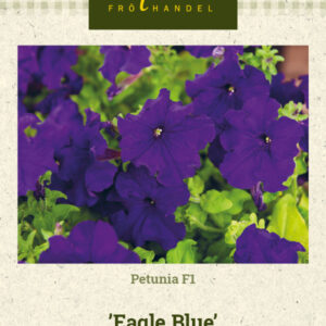 Petunia F1 'Eagle Blue'