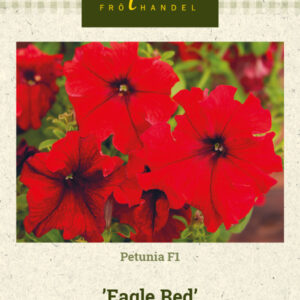 Petunia F1 'Eagle Red'