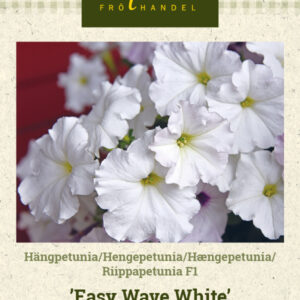 Riippapetunia F1 'Easy Wave White'
