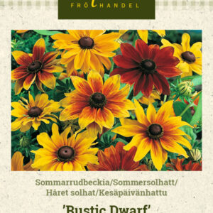 Kesäpäivänhattu 'Rustic Dwarf'