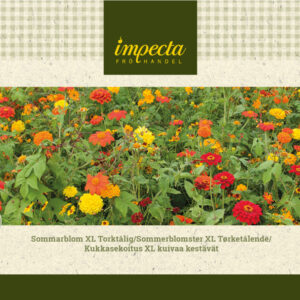 Kukkasekoitus XL kuivaa kestävä