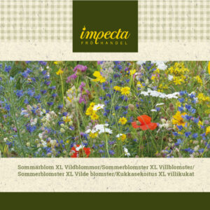 Kukkasekoitus XL villikukat