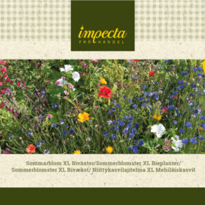 Kukkasekoitus XL mehiläiskasvit
