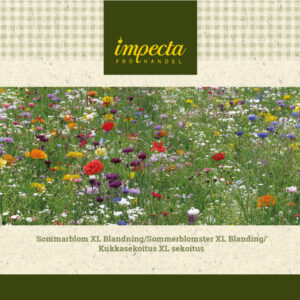 Kukkasekoitus XL keskikorkea