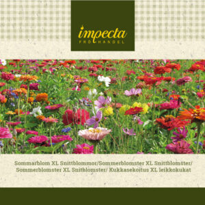 Kukkasekoitus XL leikkokukat