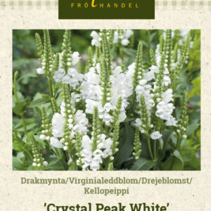 Kellopeippi 'Crystal Peak White'