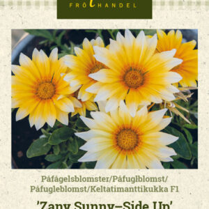 Timanttikukka F1 'Zany Sunny-Side Up'