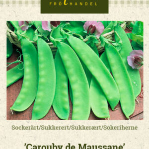 Sokeriherne 'Carouby de Maussane'