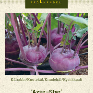 Kyssäkaali 'Azur-Star'