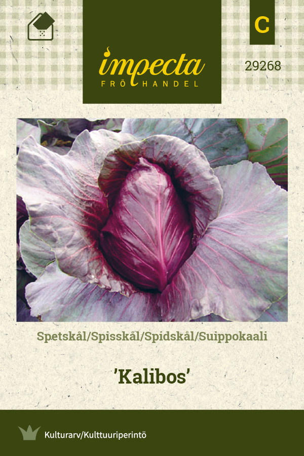 Suippokaali 'Kalibos'