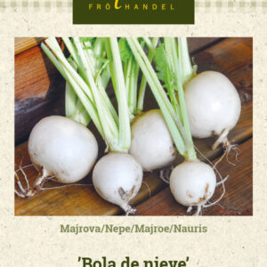 Nauris 'Bola de nieve'