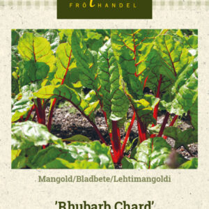 Lehtimangoldi 'Rhubarb Chard'