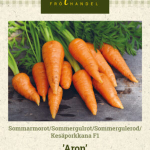 Kesäporkkana F1 'Aron'