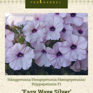 Riippapetunia F1 'Easy Wave Silver'