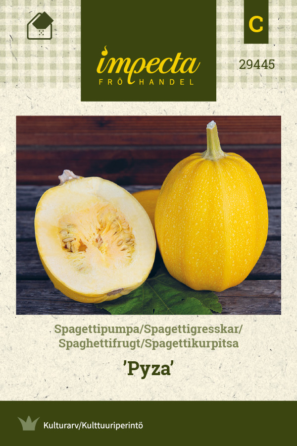 Spagettikurpitsa 'Pyza'